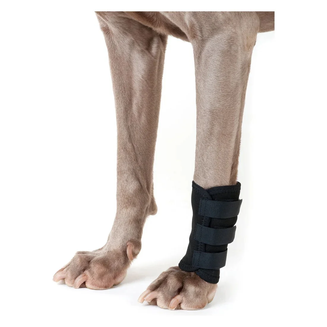 Dog Leg Wrap - Image 2