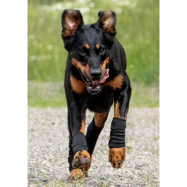 Dog Leg Wrap - Image 4