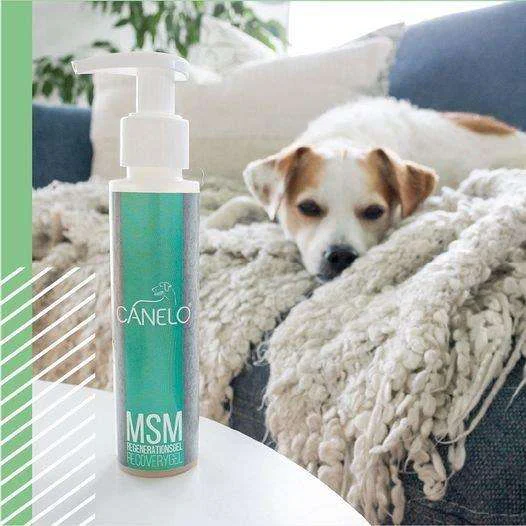 Canine MSM Recovery Gel