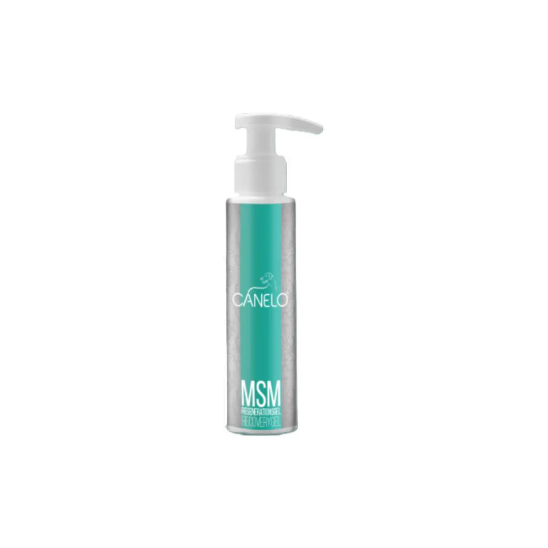 Canine MSM Recovery Gel - Image 2