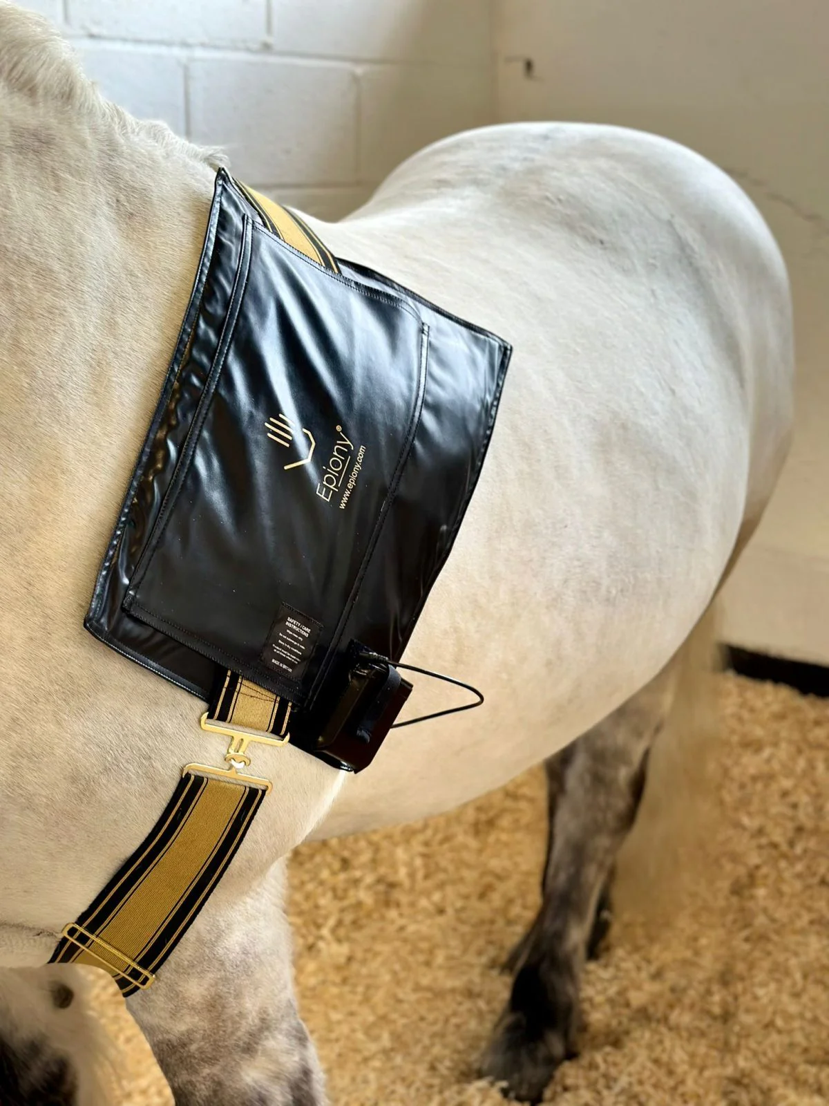 The Heat Pad - Image 5