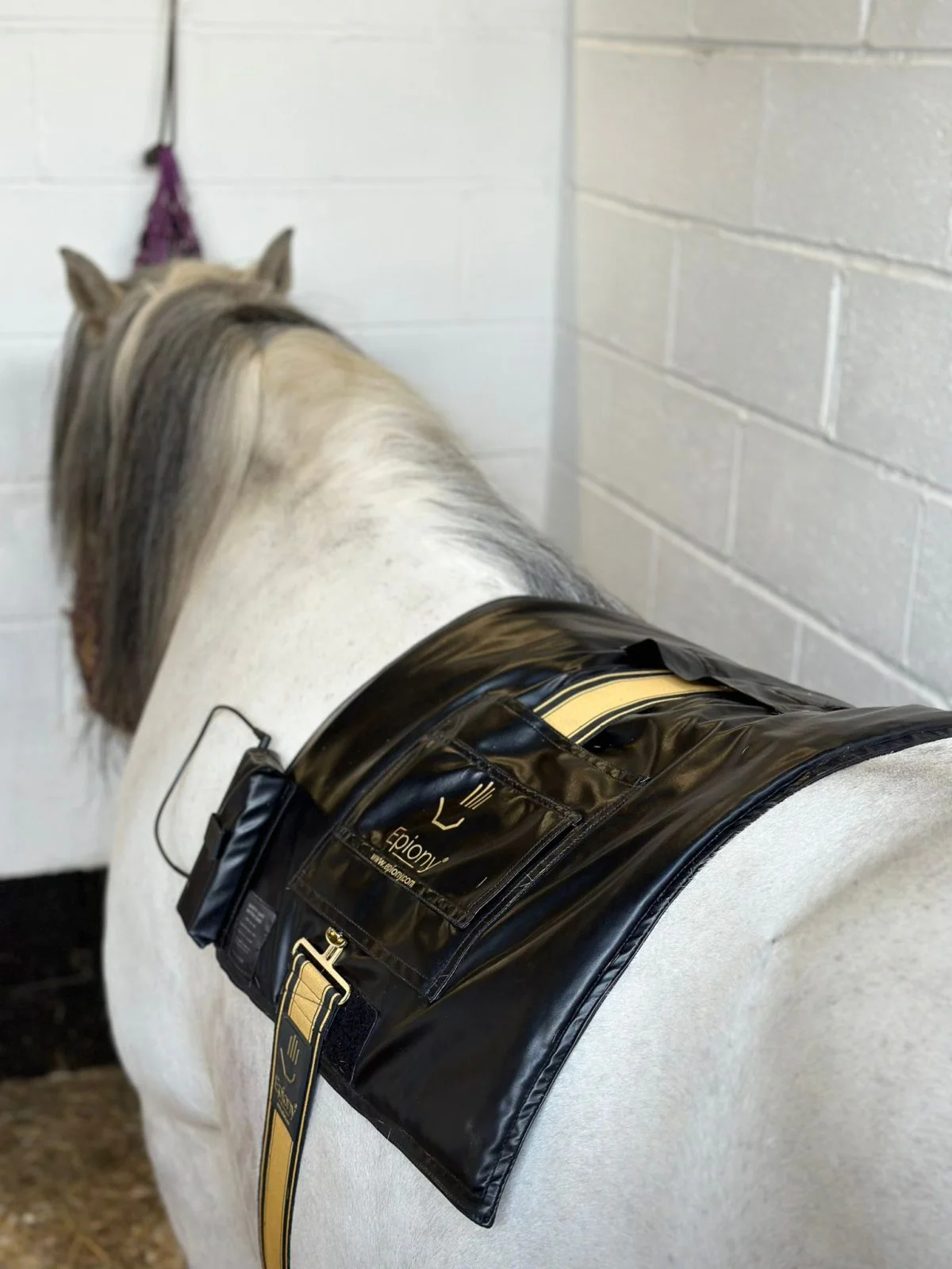 The Heat Pad Plus - Image 4