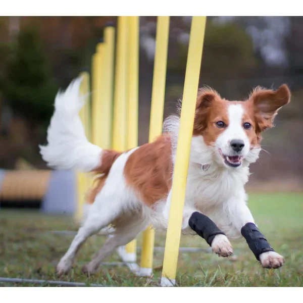 Dog Leg Wrap - Image 3