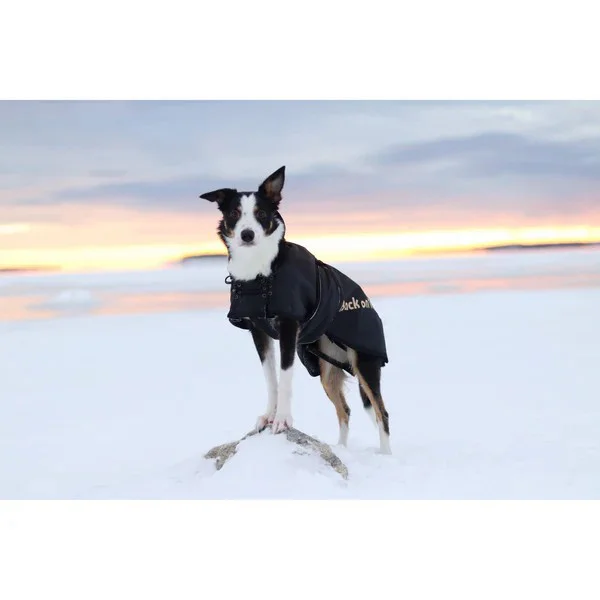 Standard Dog Coat - Image 6