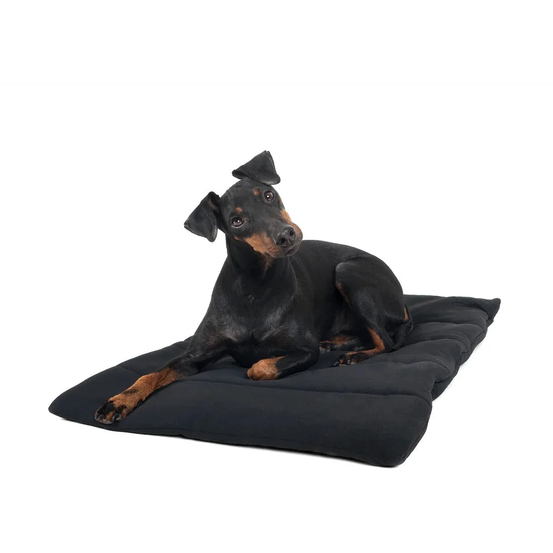 Dog Blanket - Image 2